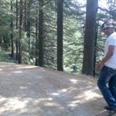 Taral Patel - @taral_roger1234 - Twitter