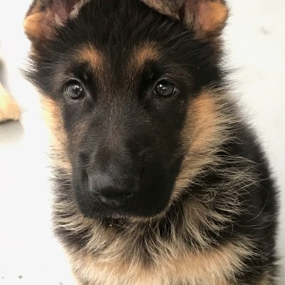 johnm58's profile picture. 