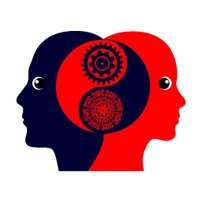 Canadian Gender Report (@genderreportca) 's Twitter Profile Photo Canadian Gender Report (@genderreportca) 's Twitter Profile Photo