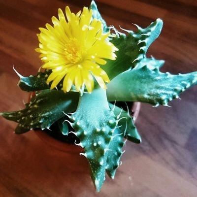 Jmac2016_1's profile picture. Pro choice, pro science, atheist.