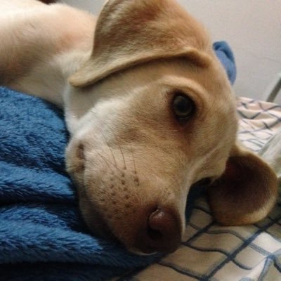 Não uso mais essa conta. Voltei pra outra @aliqsss