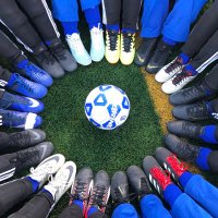 Grulla Lady Gator VB/SC (@grullav) 's Twitter Profile