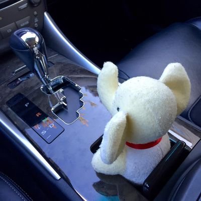 S9F3x's profile picture. Discord: S9F3#6993 | 577987218279366686