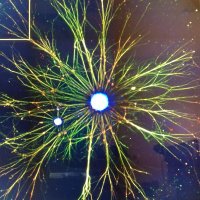 KennersonLaboratory (@kennersonlab) 's Twitter Profile