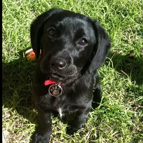 nickoh1's profile picture. 