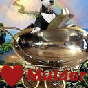 PricklPinibble's profile picture. I made it 2.5 years then took a journey over the rainbow bridge. My best friend is @HellaHedgie and my Auntie Bella is on twitter @Ibsabella.