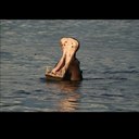 Ryan Denham - @ryand75 - Twitter