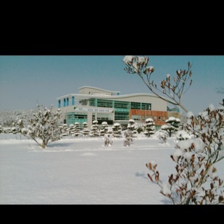 BioEnergyCrop's profile picture. 