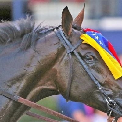 ninohipico Profile Picture