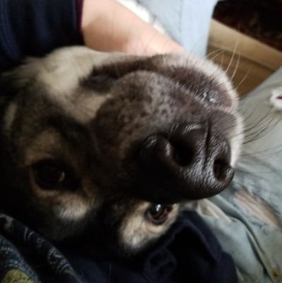 Candy_Dyasis's profile picture. A fine french cheese