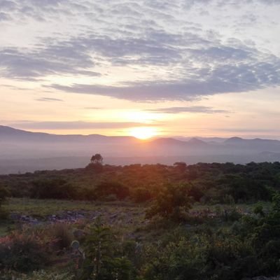 eduhe13's profile picture. 