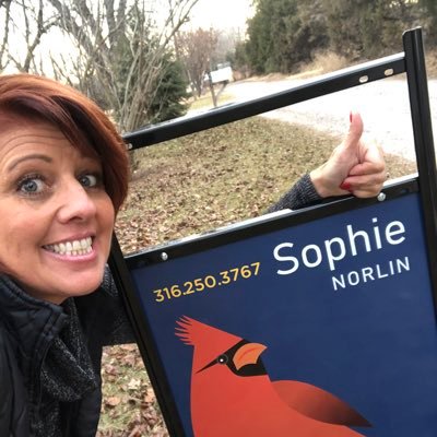 Realtor at The redBIRD Group, KW Signature Partners, LLC