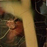 Doug Wanoy (@festive2018) 's Twitter Profile Photo Doug Wanoy (@festive2018) 's Twitter Profile Photo