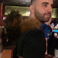 Steven Azzi (@ssjazzi) 's Twitter Profile