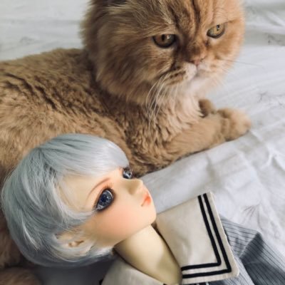 SinaJ🥓🥚🌰さんのプロフィール画像