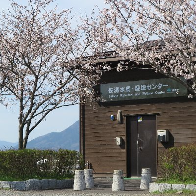 ラムサール条約湿地「佐潟」のほとりにある観察施設です。
開館時間:午前9時~午後4時30分(11月~2月の土・日曜は午前7時から開館)
休館日:毎週月曜(祝日、振替休日の場合は翌日)、年末年始