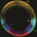 Stathopoulos Lab (@stathlab) Twitter profile photo Stathopoulos Lab (@stathlab) Twitter profile photo
