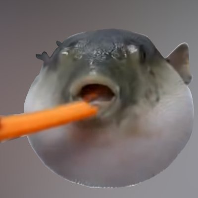 不遇なフグ Hugu Na Hugu Twitter 不遇なフグ Hugu Na Hugu Twitter