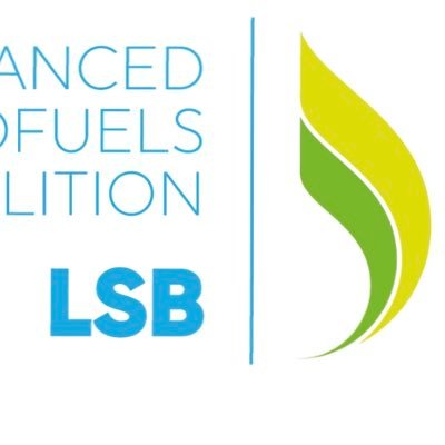 Supporting the Development of Advanced Biofuels in Europe