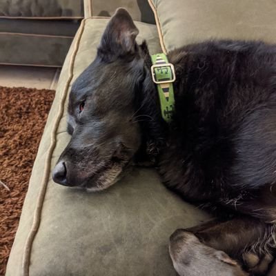 Engineering Manager at Microsoft, Sailor, dog walker, maker of lists | he/him