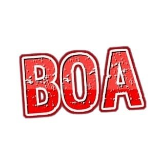 boaltiparmak's profile picture. E-Ticaret Yöneticisi
CEO