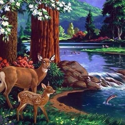 honolitenyesse's profile picture. 