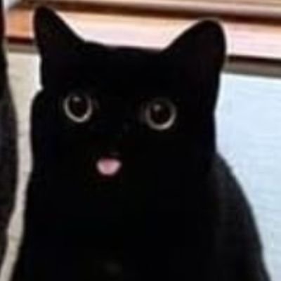 Nick60320's profile picture. I should use Twitter more tbh oof.  Very into Smash Ultimate with my Mains being Peach and villager! Looking forward to interacting more with peeps as well!