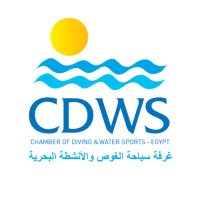 CDWSEgypt(@CDWSegy) 's Twitter Profile Photo