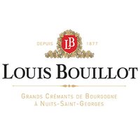 Louis Bouillot (@louisbouillotof) 's Twitter Profile