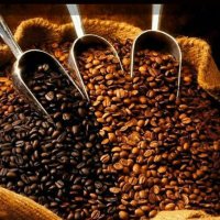 قهوجي الرياض (@c83a59b37fcd48b) 's Twitter Profile