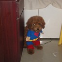 lee x - @0818TeddyPrince - Twitter