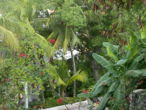 kmattek31's profile picture. 