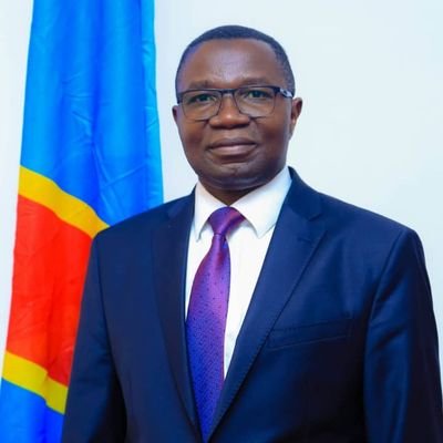 Min/INDUSTRIE-RDC(2019...),Gouverneur Nord-Kivu(2007-2019),Maire de ville(2003-2006),Administrateur de Territoire (1998-2003),Député 2006,2011,2018,2023