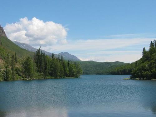 JanetWise21's profile picture. Retweets do not = endorsements