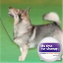 jellismum's profile picture. Mum of 4, wife of 1. Loves Dog shows.