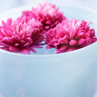 AMazam21277992's profile picture. 