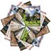 Living Woods Mag (@livingwoodsmag) Twitter profile photo Living Woods Mag (@livingwoodsmag) Twitter profile photo