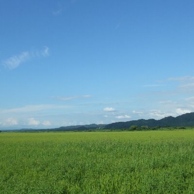 横浜上野町教会 Member Member02189417 Twitter