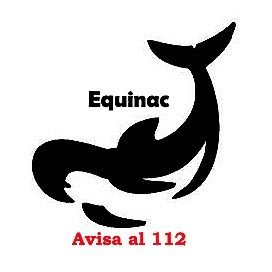 Cuenta oficial de Equinac, una ONG cuyo objetivo principal es el de atender los varamientos de tortugas marinas y cetáceos en la provincia de Almería, España.