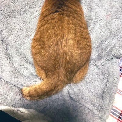 eee_r_iiin32's profile picture. 