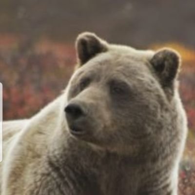 8infinitive's profile picture. 修行中の身でたまに呟くことも有益とは思われないのでfollow自重願います。見る専門。follow禁止