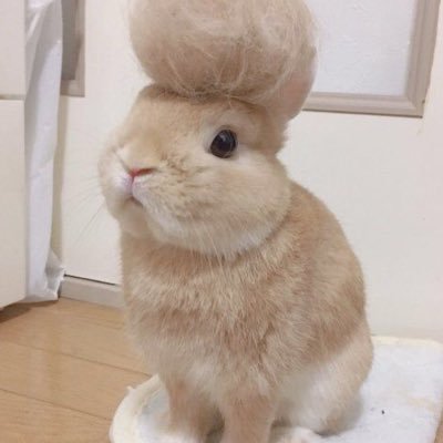 winjin0's profile picture. 嬢