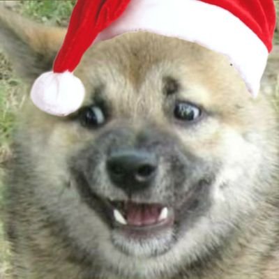 dog is god backwards, that says all you need to know about dogs