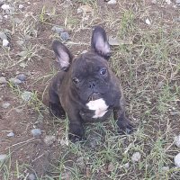 Joe Zozobrado (@joezozobrado) 's Twitter Profile