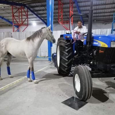 ToomNotario's profile picture. Lic. en Derecho.

Empresario en TecnoAgricola Notario.

Delegado en Gob de Puebla (bienestar)

Enamorado mi bello Tecamachalco