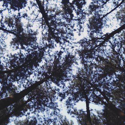 iam1301's profile picture. software engineer.