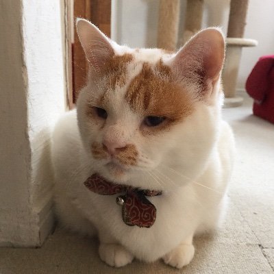 EBA10523279's profile picture. バイナリーオタクです。
よろしくお願いします。