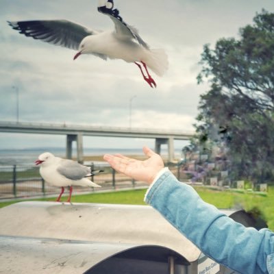 Phet_is_Phet's profile picture. 