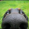 itsdavidpurcell's profile picture. Managing Director DJPC | 🐕sudo Opinions are my own. Probably not the tallest guy in the room. #GoOilers