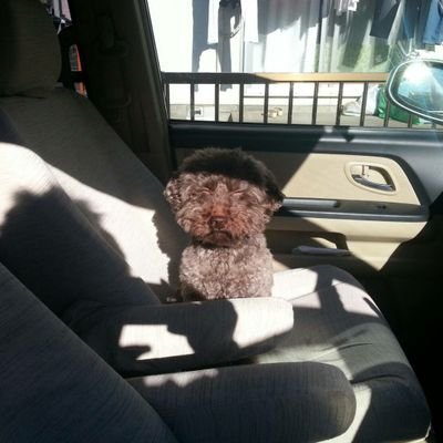 orbis12game's profile picture. PCゲーム初心者です。やってるゲームはR6Sなかなかのド下手ですがエンジョイ感では負けないのでよろしくお願いします。